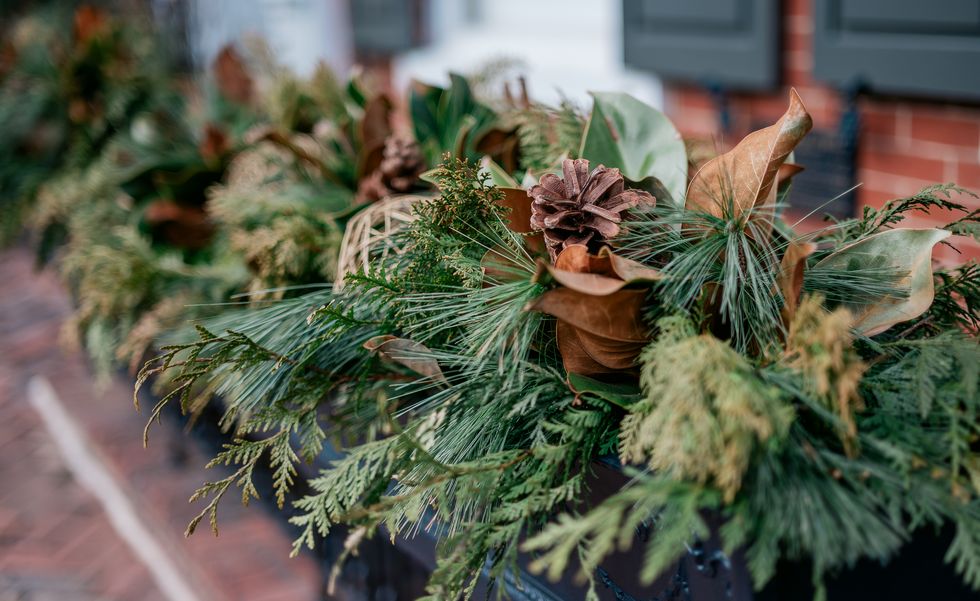 pine cones and needles adorn window box