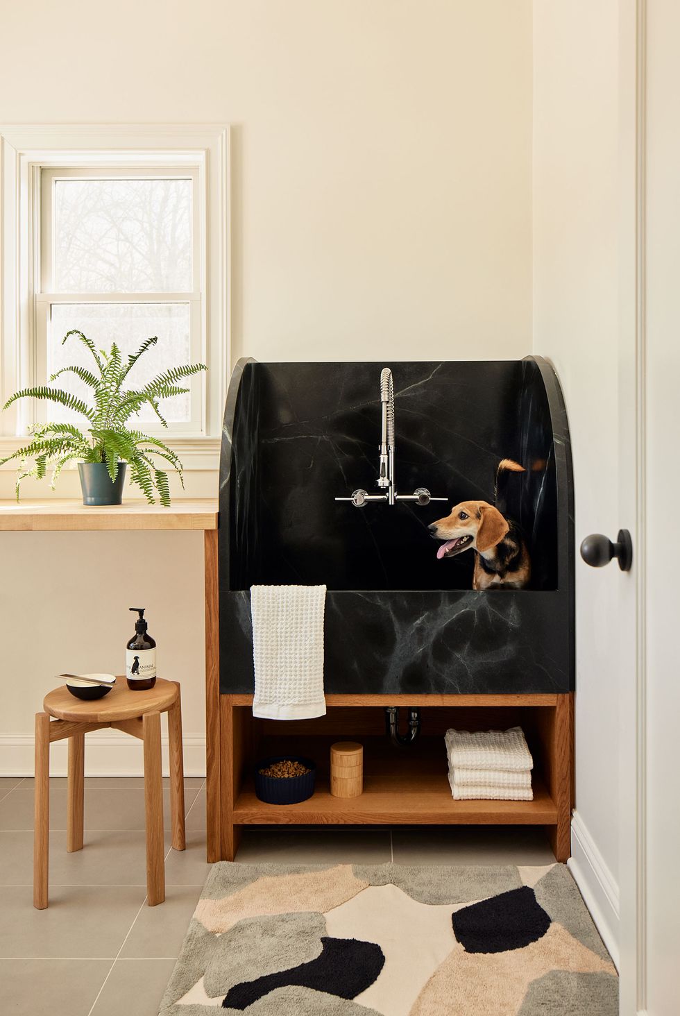 a small corner area with a black marble doggie bath and a cute little dog sitting in it waiting for a bath