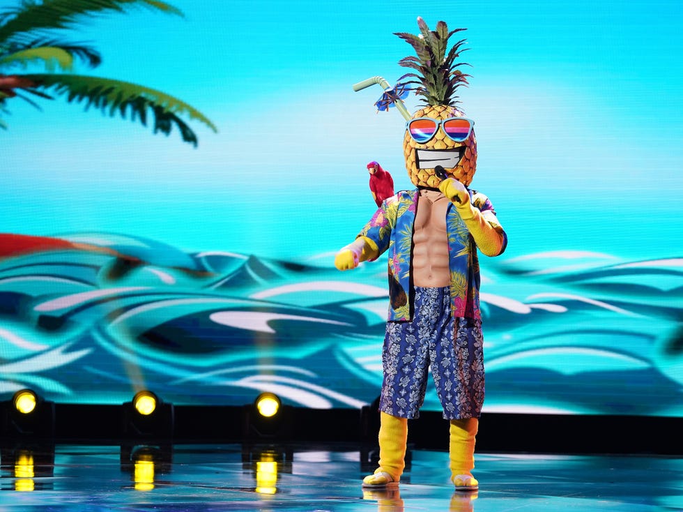 the masked singer rules