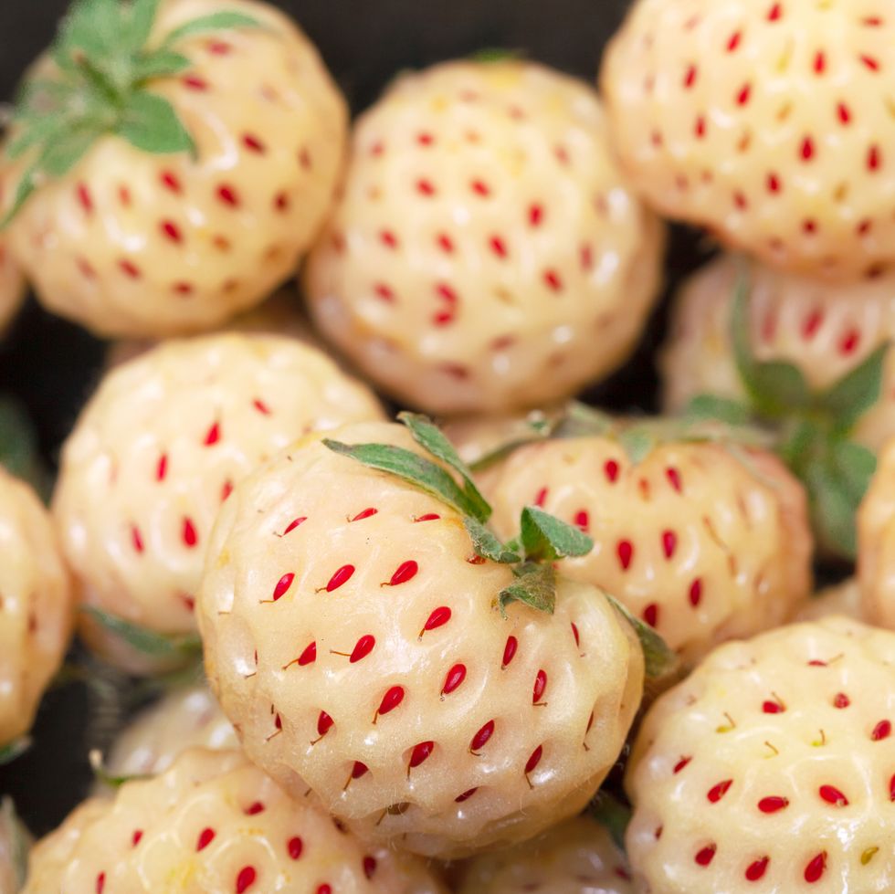 ripe white strawberries, pineberries, closeup