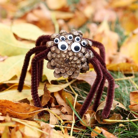pinecone spiders halloween crafts kids