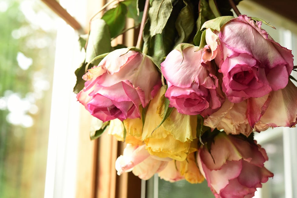 técnicas para secar el ramo de novia con flores naturales