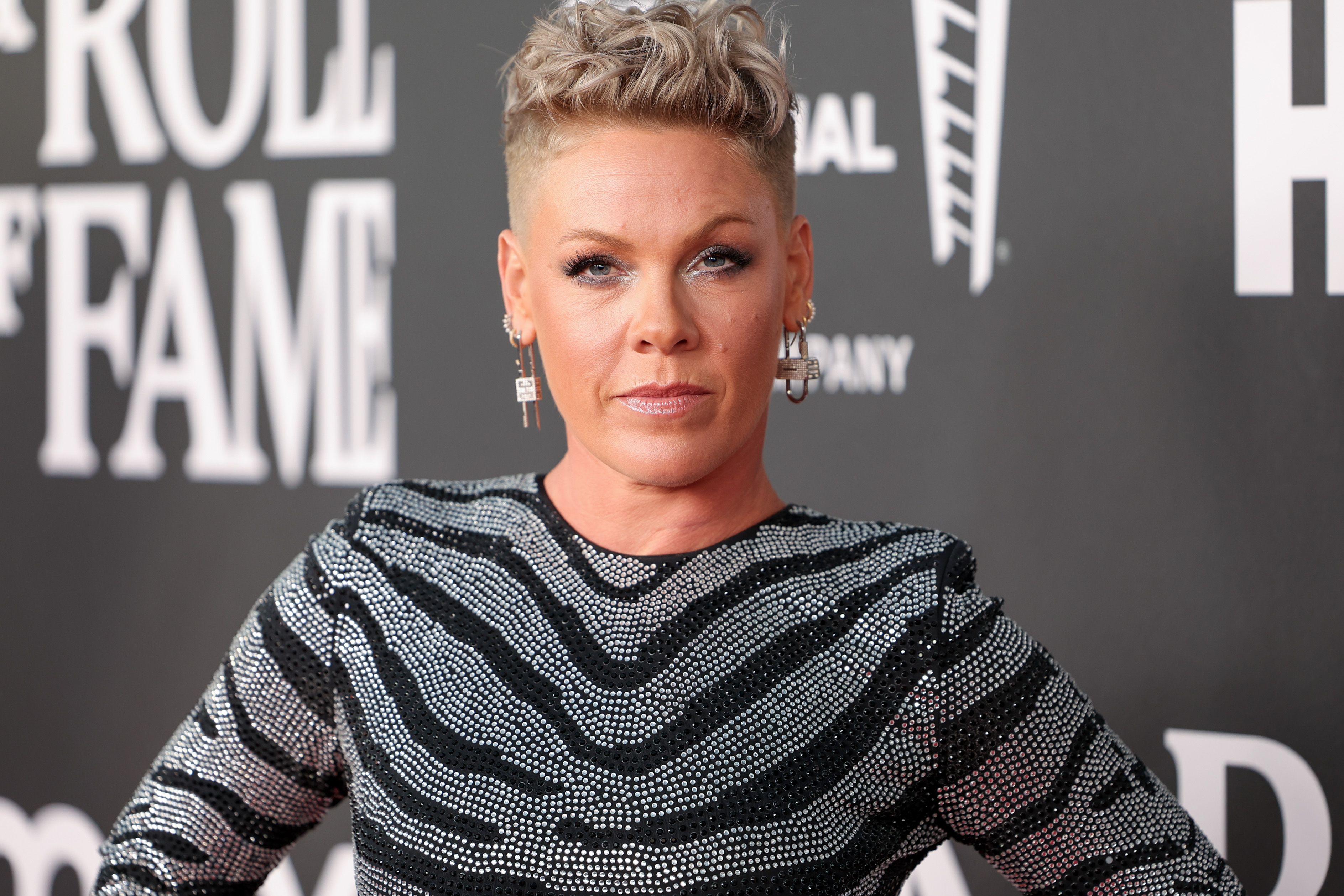 Pink Fans Rally Around the Singer After She Gives New Health Update on  Instagram