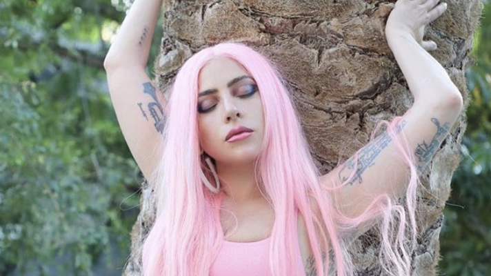 Lady Gaga's Pink Matches Neon Pink Bralette MTV VMAs