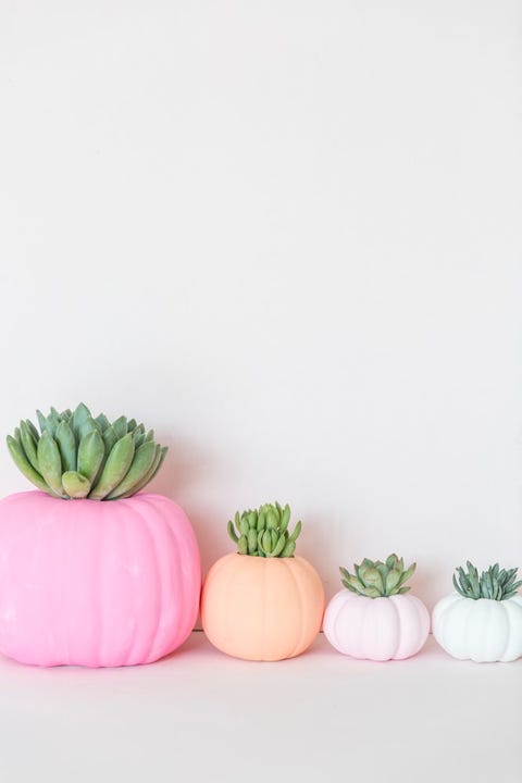 pumpkins