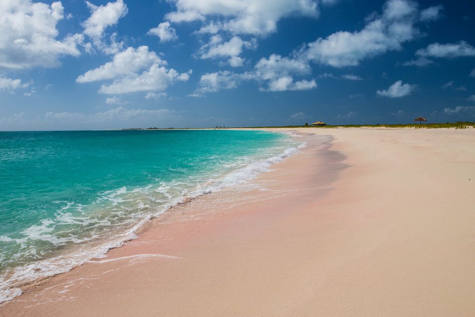 Pink Sand Beach Antigua West Indies