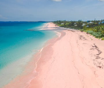 pink sand, beach, harbour island, the bahamas