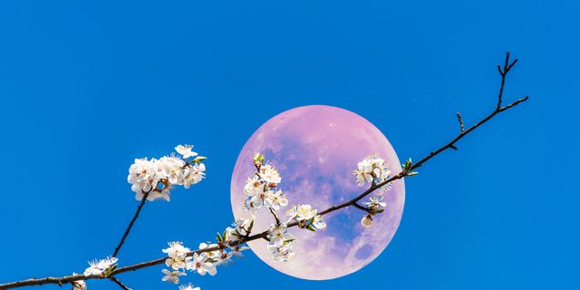 ◇専用◇満月ヒーリング 4/13 ピンクムーン てんびん座の満月