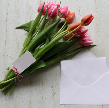 pink tulips, letter and envelope