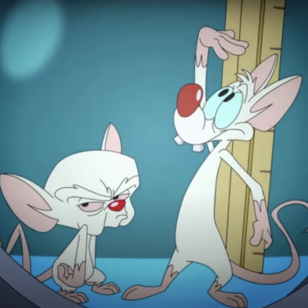 Prime Video: Steven Spielberg Presents Pinky and The Brain - Season 2