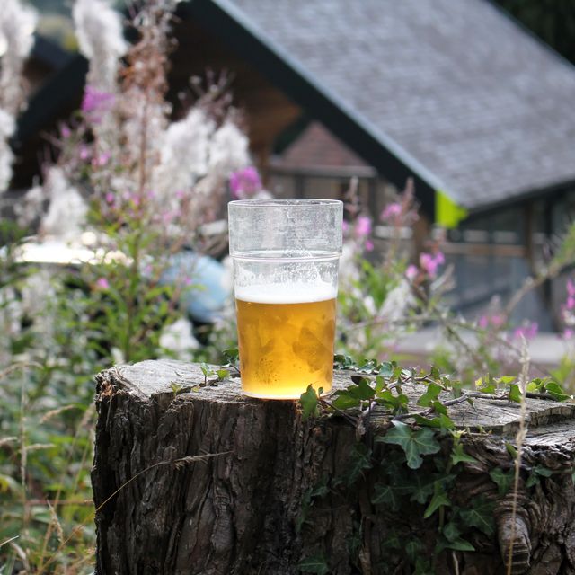draft beer glass near the river waterfall