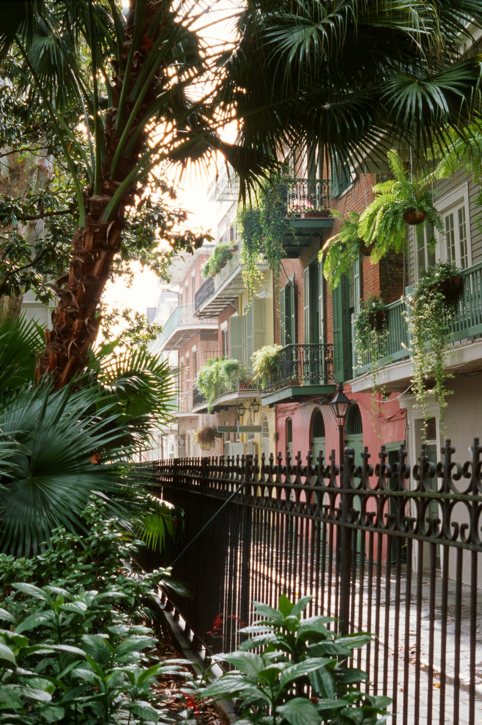 pirate alley in the french quarter, new orleans