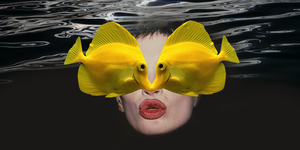 two yellow fishes kiss over a person's face
