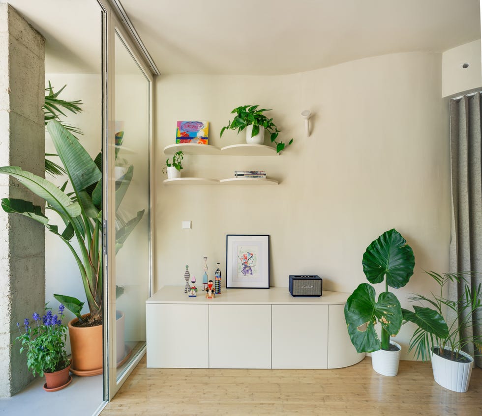 rincón decorado con plantas