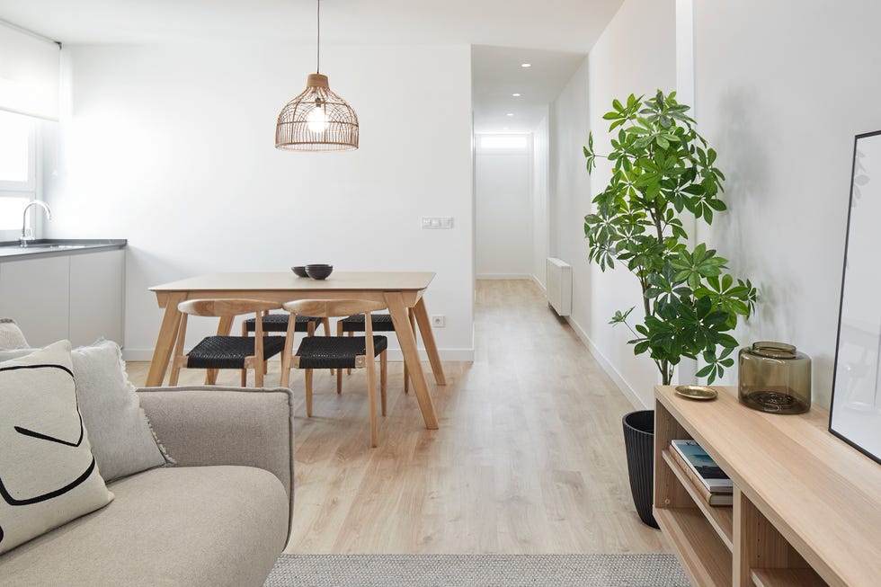 salón moderno con comedor integrado