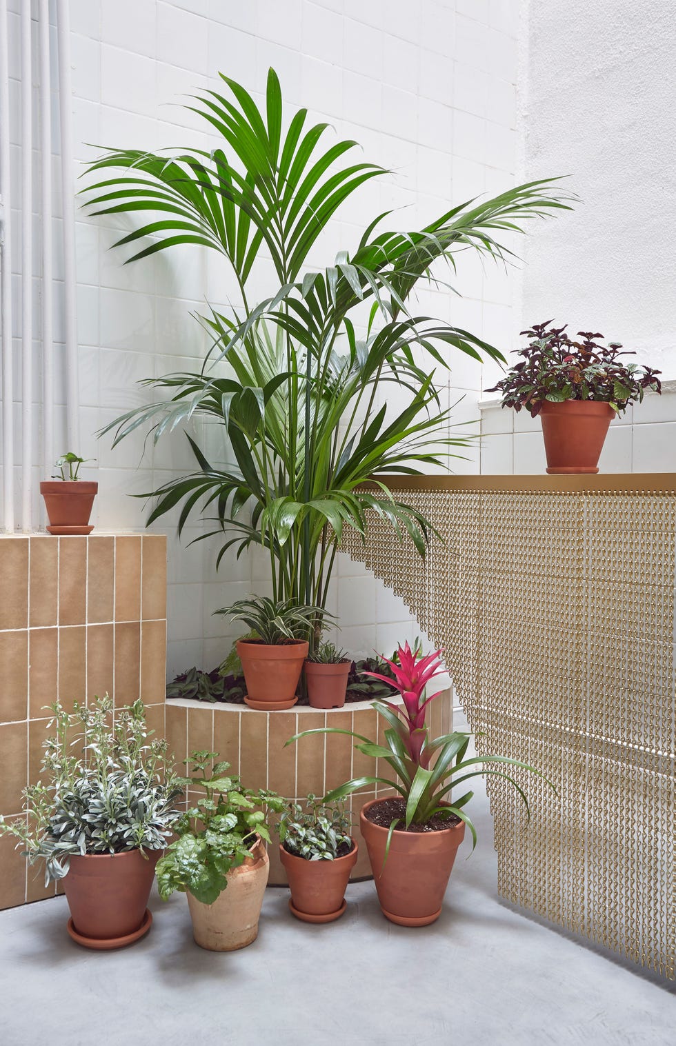 patio interior con plantas