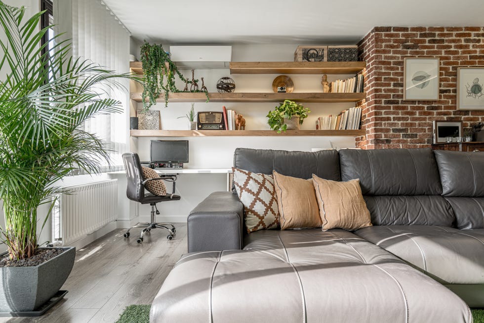 salón moderno decorado con plantas, un sofá de piel y un escritorio