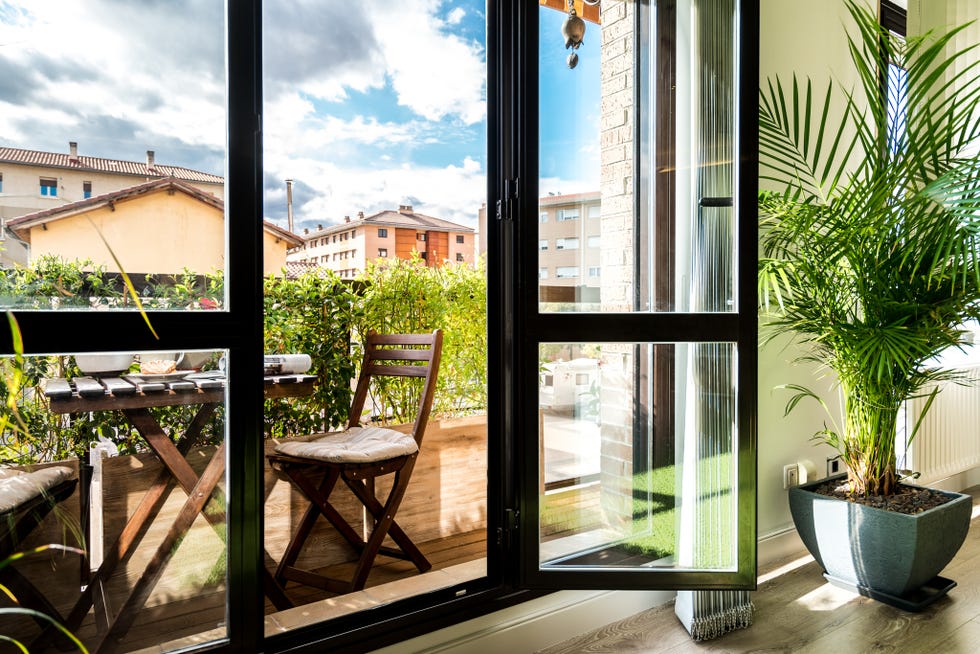 terraza con plantas