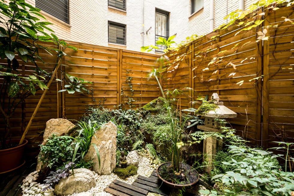 patio interior con jardín