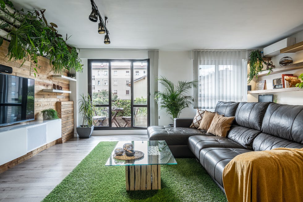 salón moderno decorado con plantas y un sofá de piel