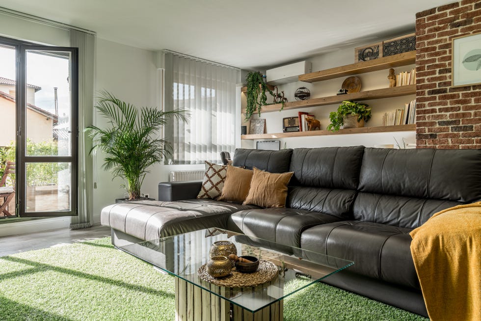 salón moderno decorado con plantas y un sofá de piel