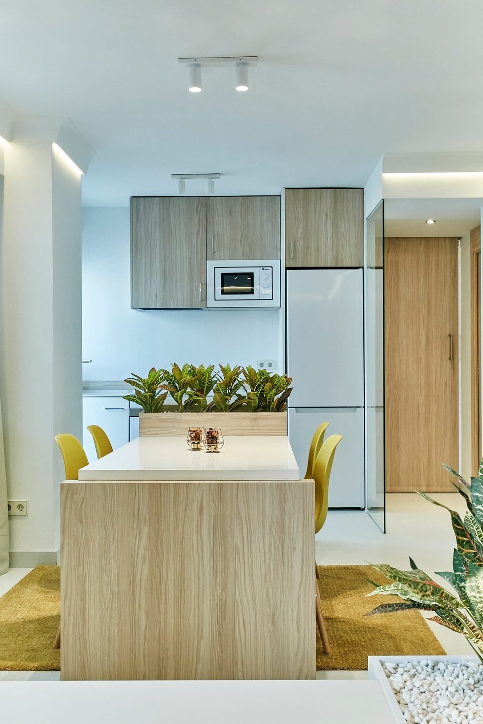 cocina con muebles de madera y plantas