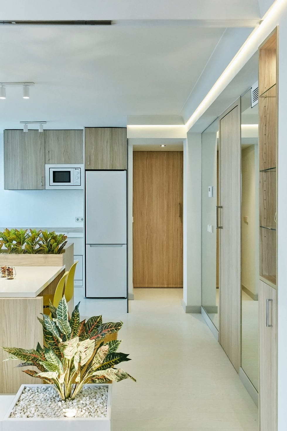 cocina con muebles de madera y plantas