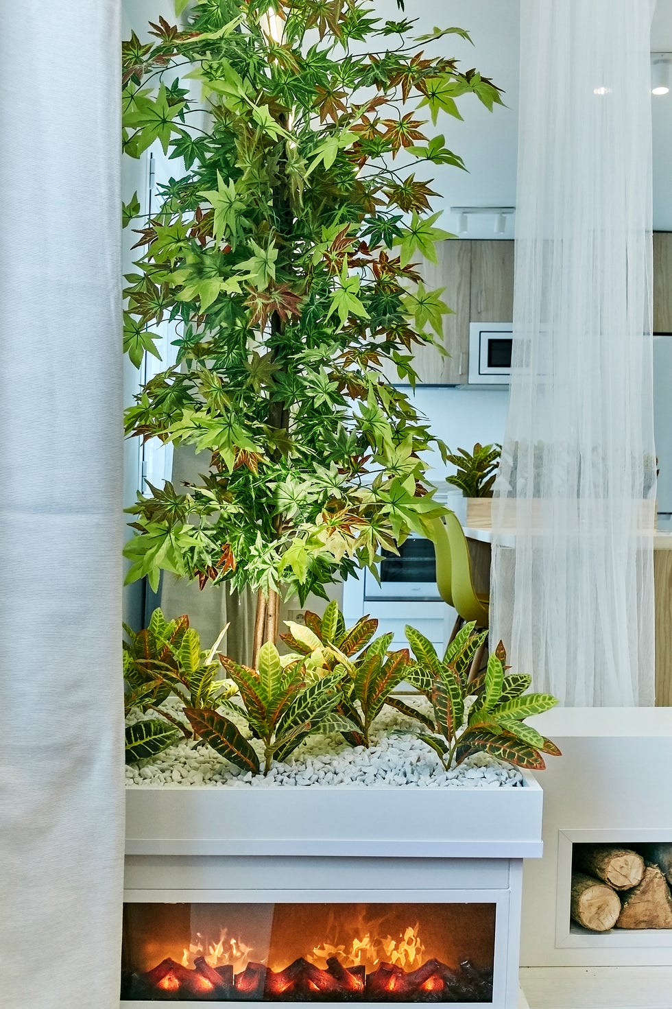 ficus encima de una chimenea moderna