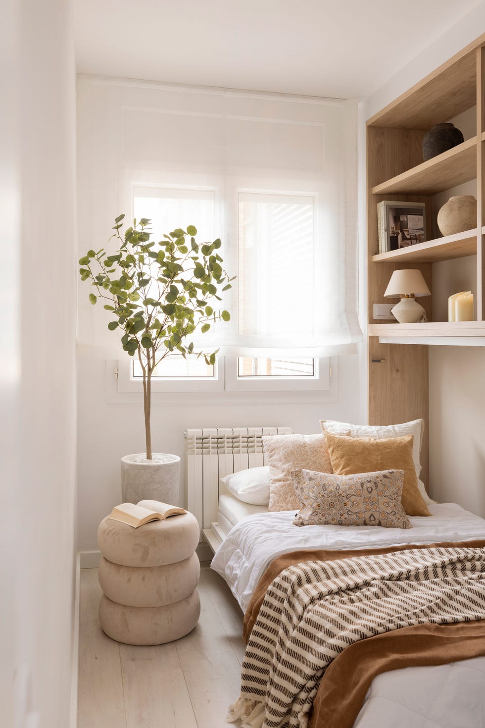 cama abatible y árbol de interior