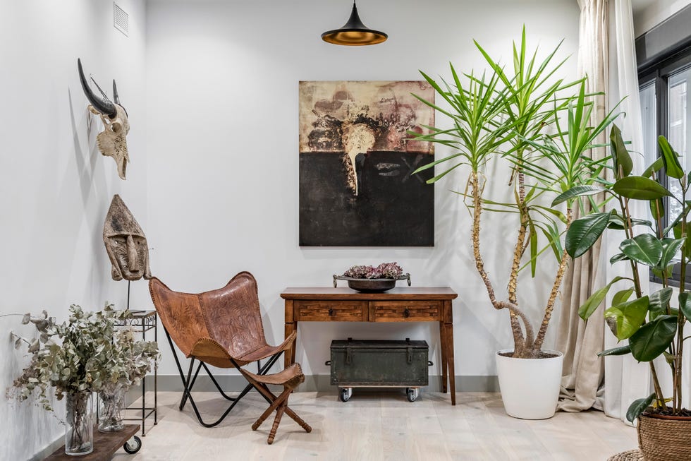 recibidor decorado con plantas y piezas exóticas