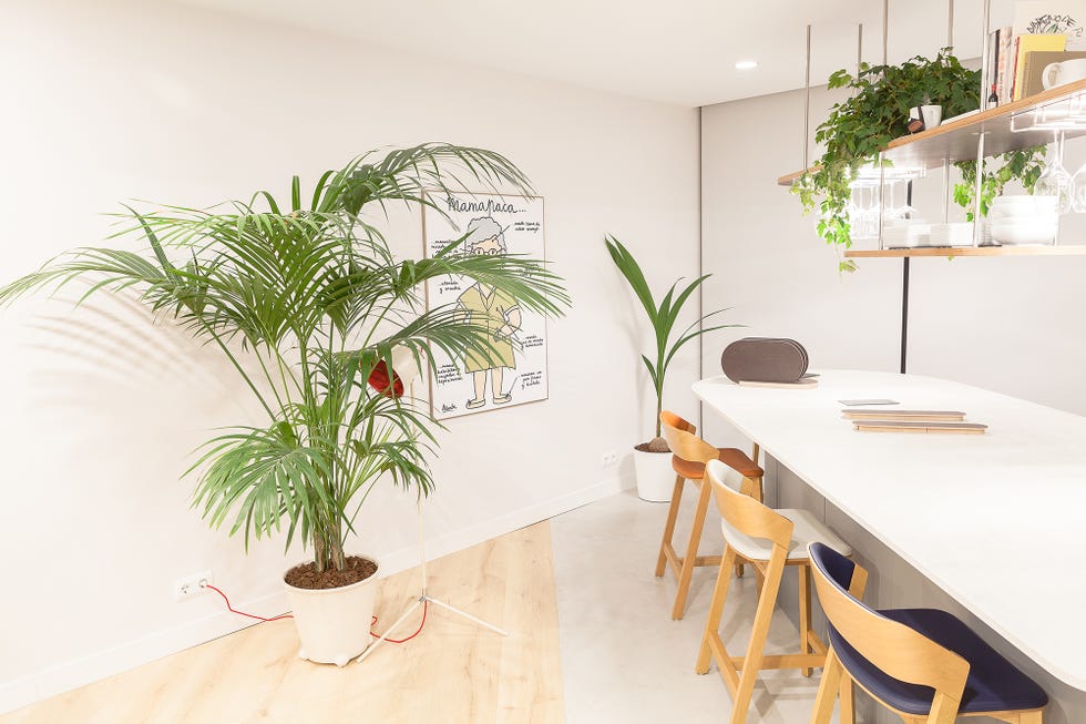 comedor abierto con mesa blanca y plantas