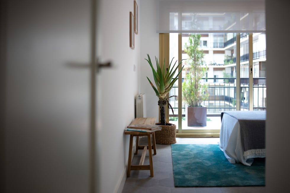 dormitorio decorado con planta yucca
