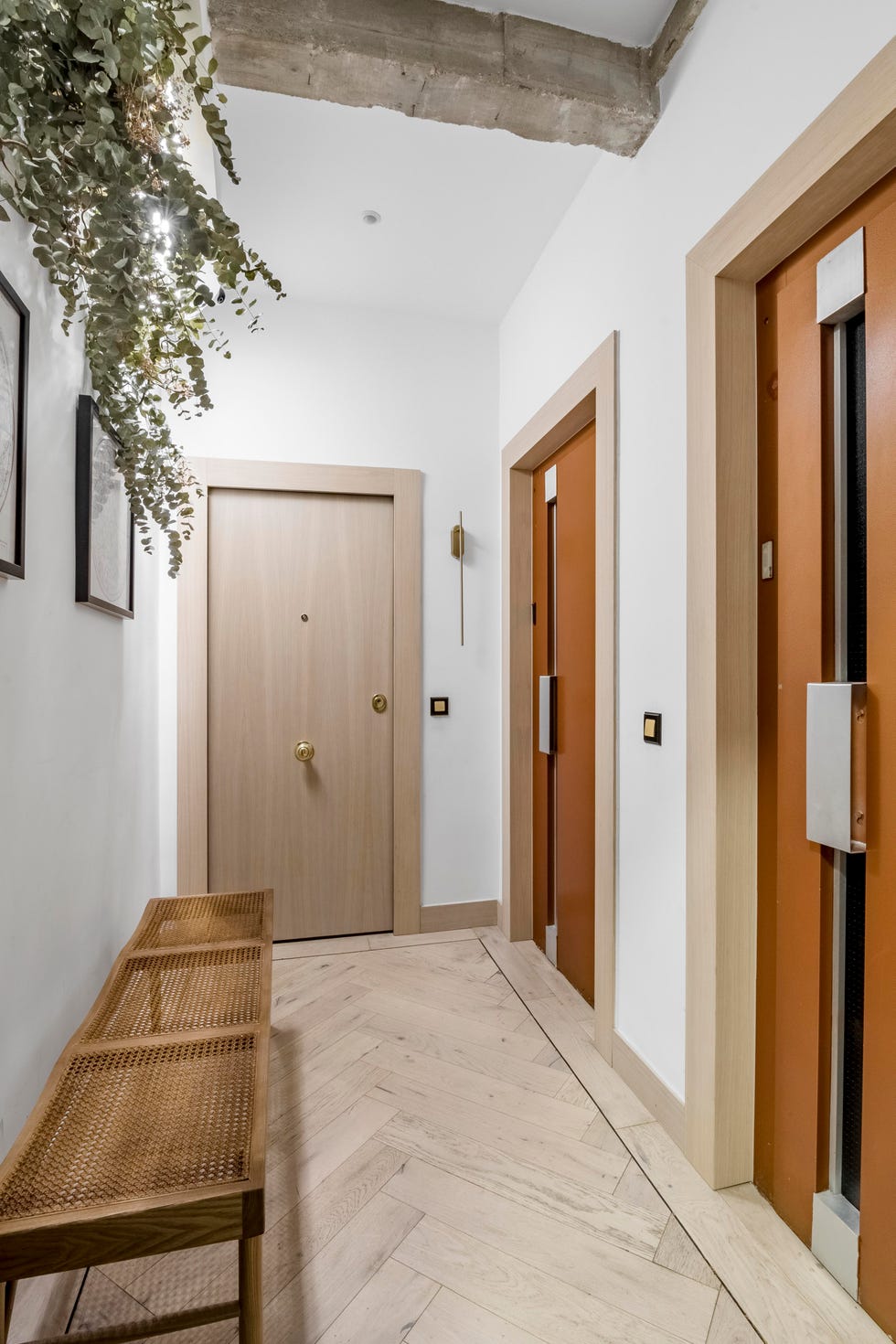 pasillo decorado con plantas liofilizadas