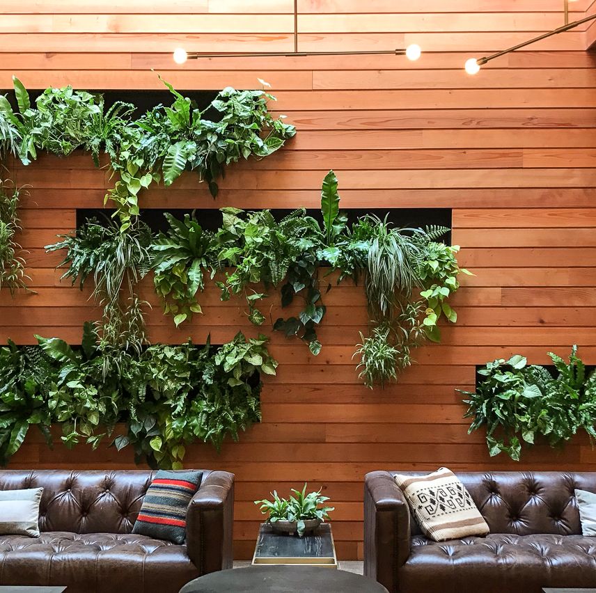 indoor living herb wall