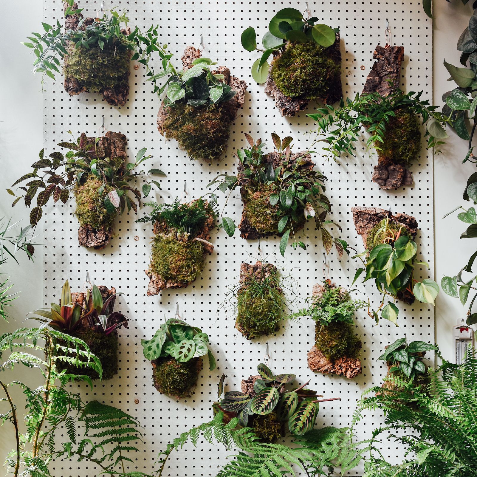 Creative Ways to‌ Bring Nature Indoors with DIY Projects