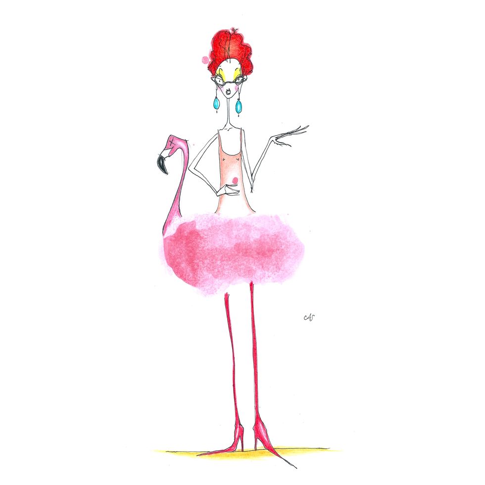 Pink, Flamingo, Water bird, Illustration, Bird, Drawing, 