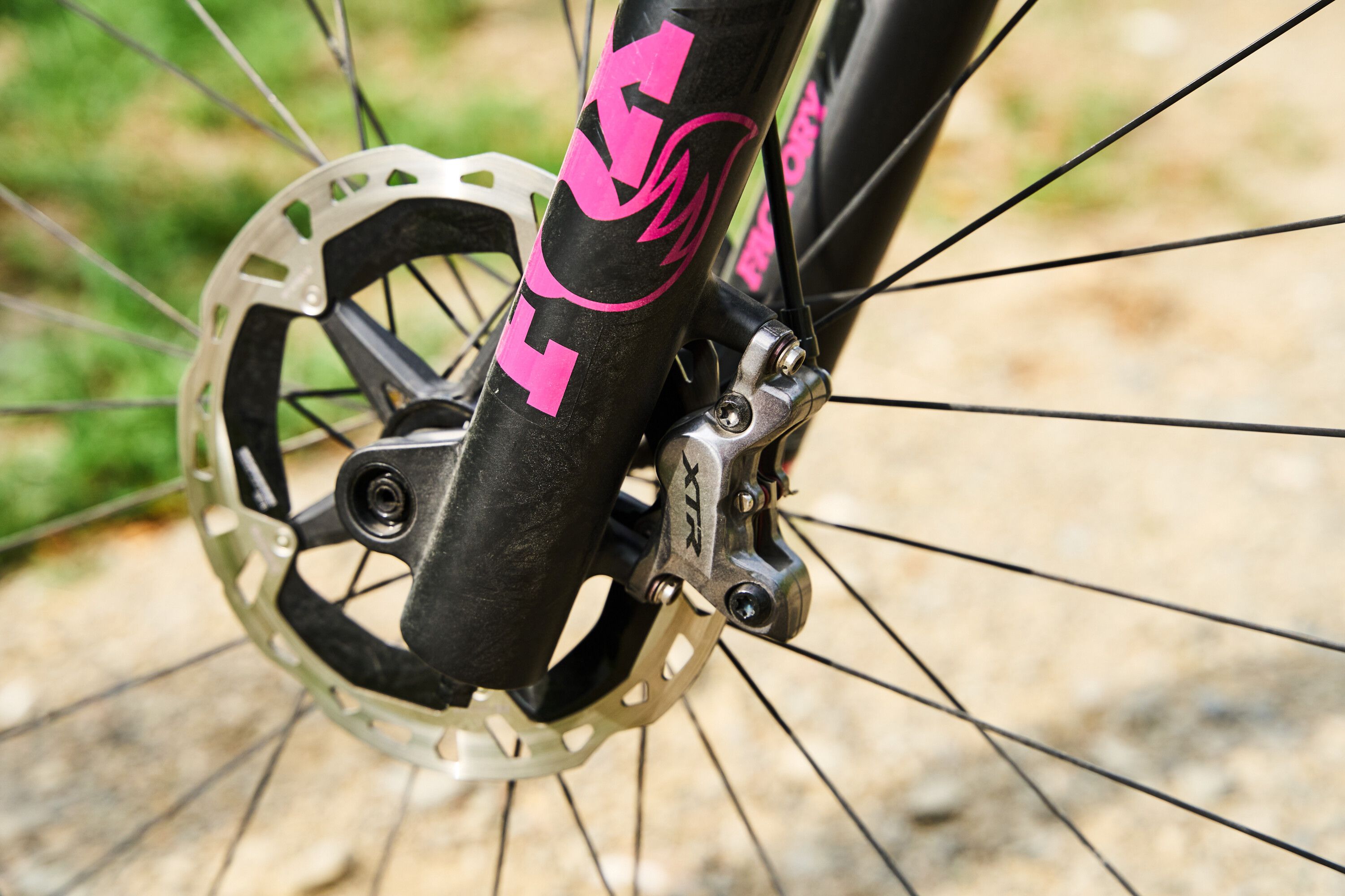 Pivot's Shadowcat Is a Trail Bike Gem | Best Mountain Bikes 2022