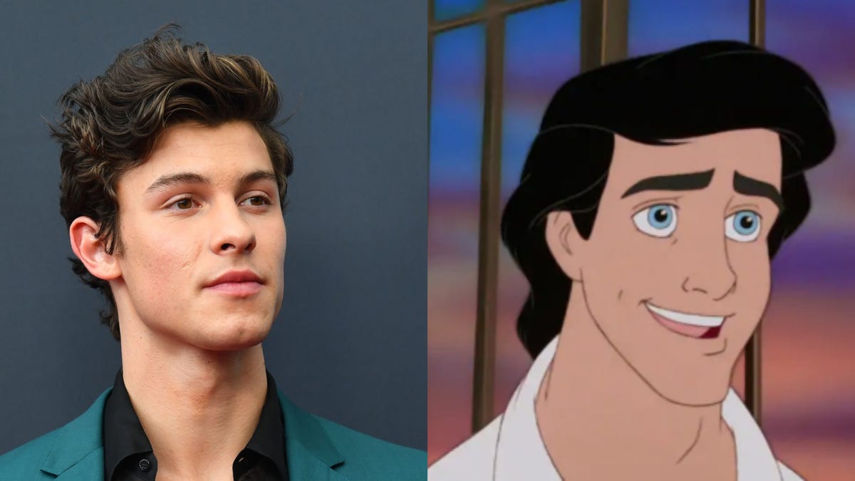 Fans Want Shawn Mendes to Play Prince Eric in LiveAction "Little