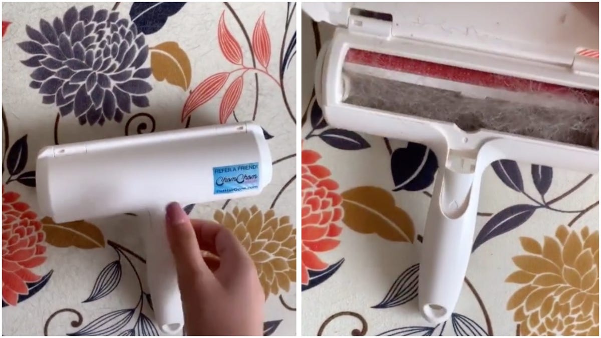 The $30 Pet Hair Remover in This Viral TikTok Is Highly Rated on