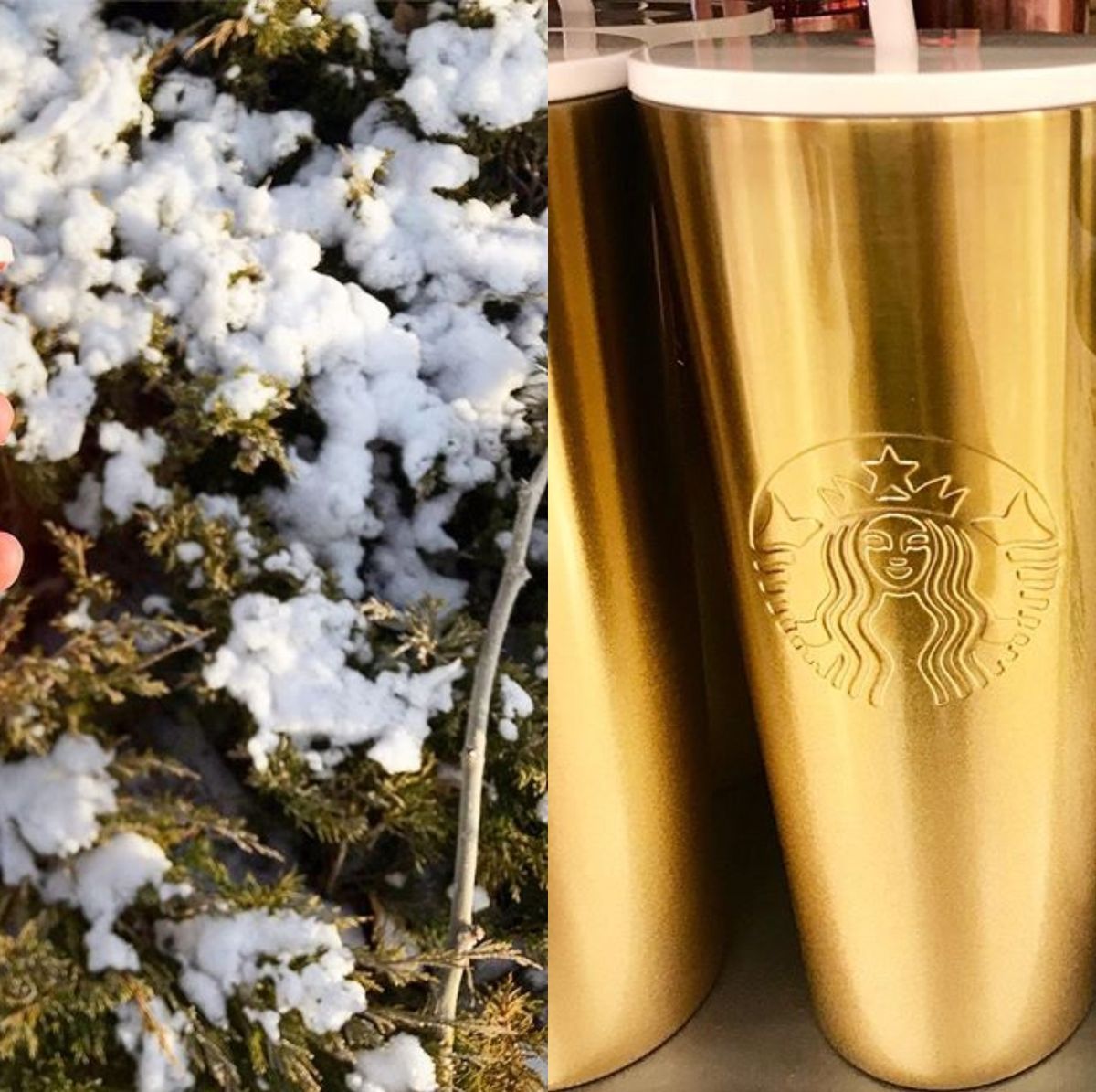 Stanley Just Released a New Holiday Tumbler With a Candy Cane