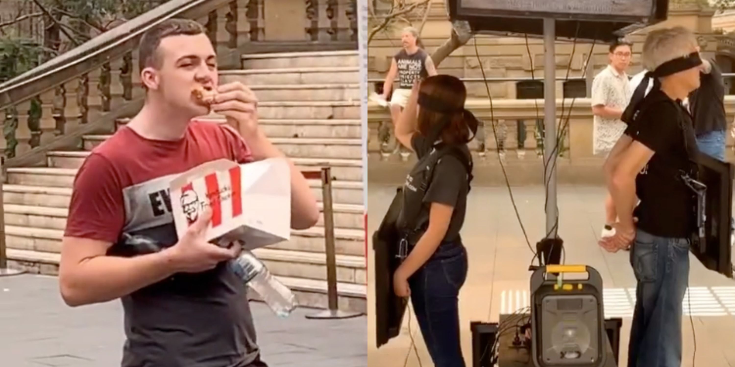 Vegan Protester Divides Internet After Pouring Paint Over KFC