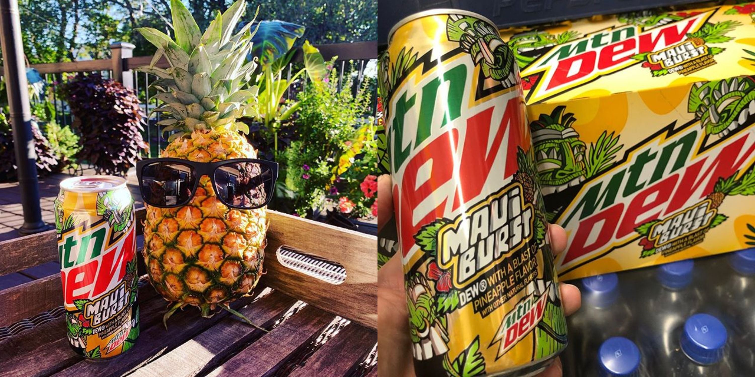 1 NEW LIMITED EDITION Mountain Dew Maui Burst FULL 16 oz Can PINEAPPLE Yahoo 