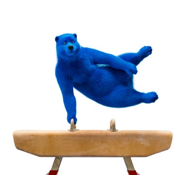 oso de o2
