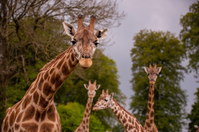 places to stay near longleat