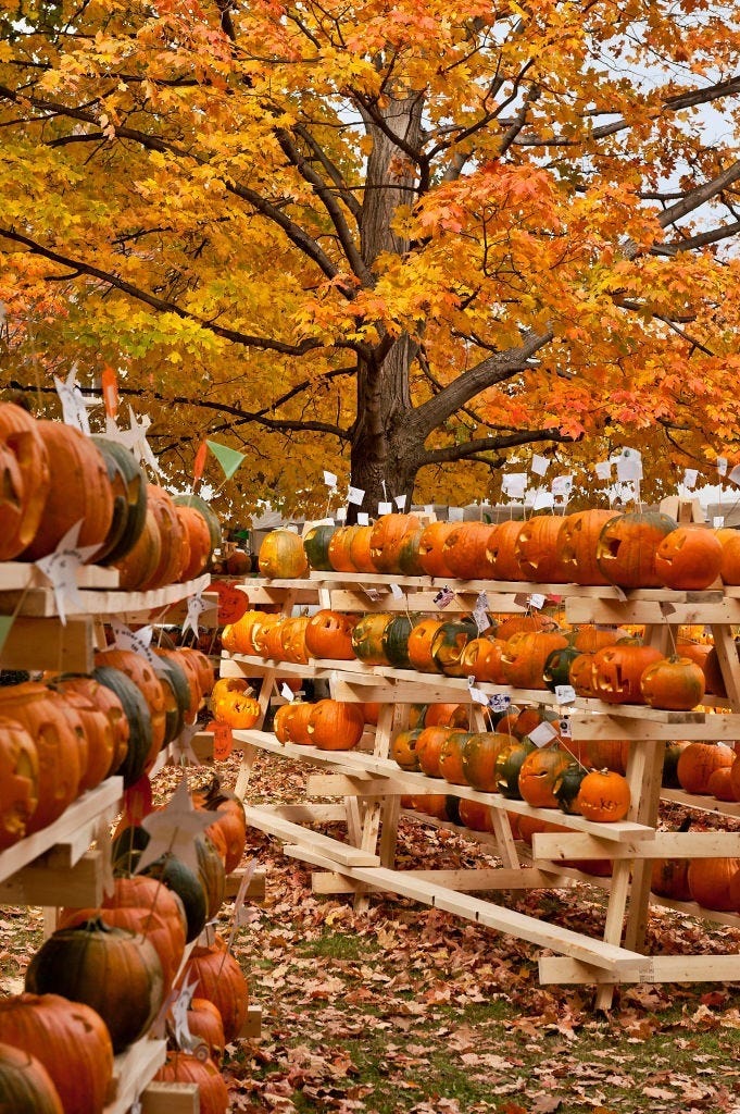 places to visit during halloween keene