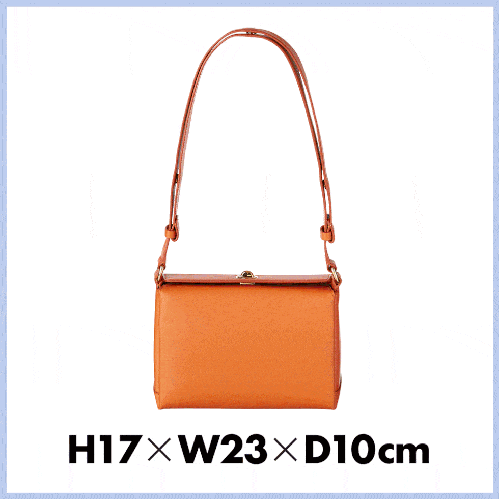Handbag, Bag, Shoulder bag, Fashion accessory, Leather, Luggage and bags, Material property, Font, Brand, Tote bag, 