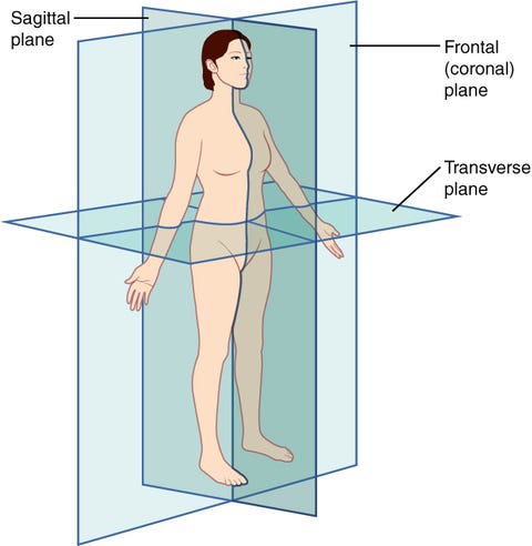 3 Planes of Movement: Sagittal, Frontal, and Transverse Exercises. Anatomical Terminologies