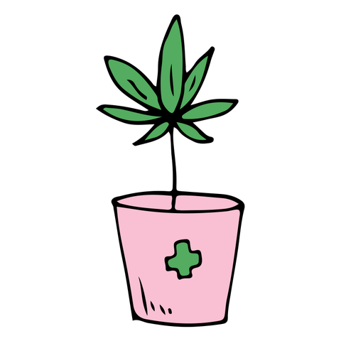 Flowerpot, Leaf, Plant, Clip art, Houseplant, Flower, Hemp family, Plant stem, Herbaceous plant, Symbol, 