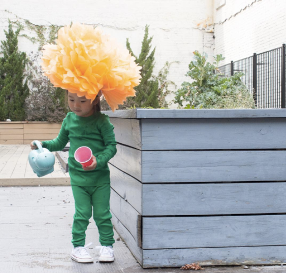 10 Best Plant Costumes for Kids and Adults - How to DIY a Plant