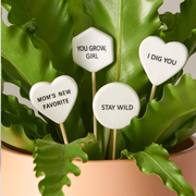 gifts for plant lovers gifts for plant lovers
